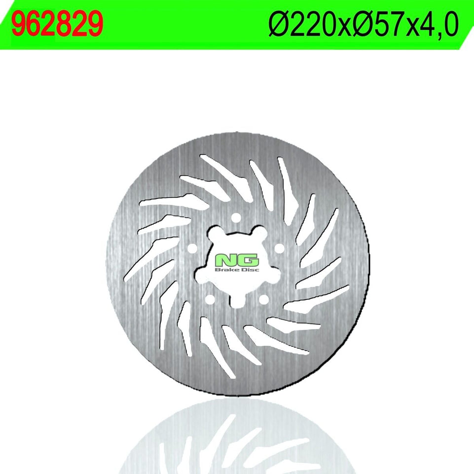 962829 DISCO FRENO NG Posteriore RIEJU RS2 Matrix 50 2008