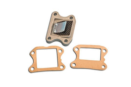 Pacco lamellare carbonio per Honda SGX Sky 50 1997-2001