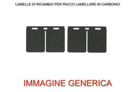 Pacco lamellare PER Gasgas 125 MC (21-22) - V-Force 4 R (solo lamelle)