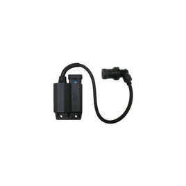 CENTRALINA BOBINA per APRILIA 100 Scarabeo 4T E3 VAC00/VAA00 2010-2015 SGR
