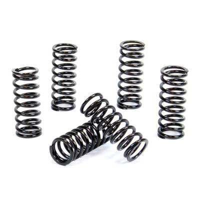 Kit Frizione Moto ProX 17.CS13006