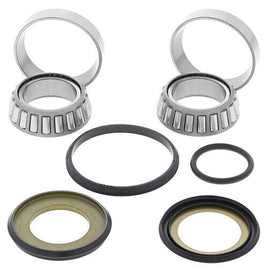 Kit revisione sterzo Beta RR 300 (13-24)