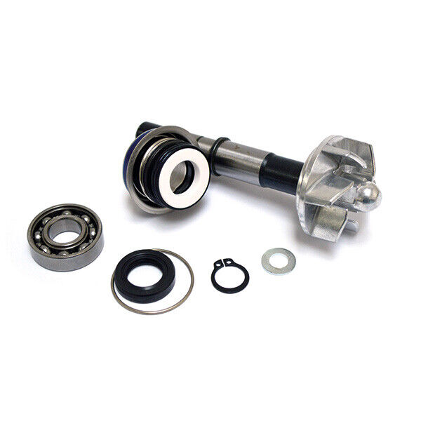 SGR KIT REVISIONE POMPA ACQUA per DAELIM 125 S3 FI 2013-2015 - LGMoto SRL