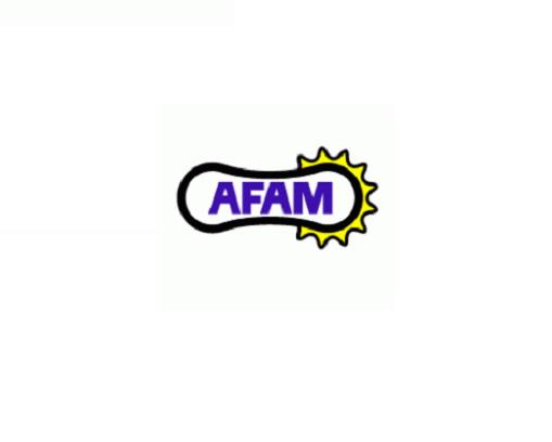 CORONA AFAM IN ACCIAIO P520 - Z48 PER HUSQVARNA 250 WR 2T 1992-1999