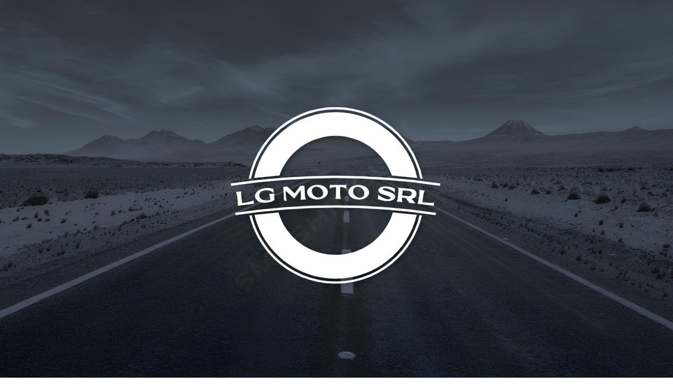 SGR FRIZIONE DISCO SINGOLO GUARNITO per BMW 1000 R 100 T 1980-1984