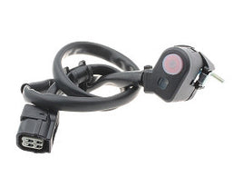 INNTECK Ricambio Elettrico Moto 461-00014 per HONDA CRF 450 R 450 2013-2016