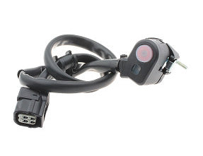INNTECK Ricambio Elettrico Moto 461-00014 per HONDA CRF 450 R 450 2013-2016