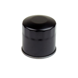 Filtri Olio Moto Athena FFP006