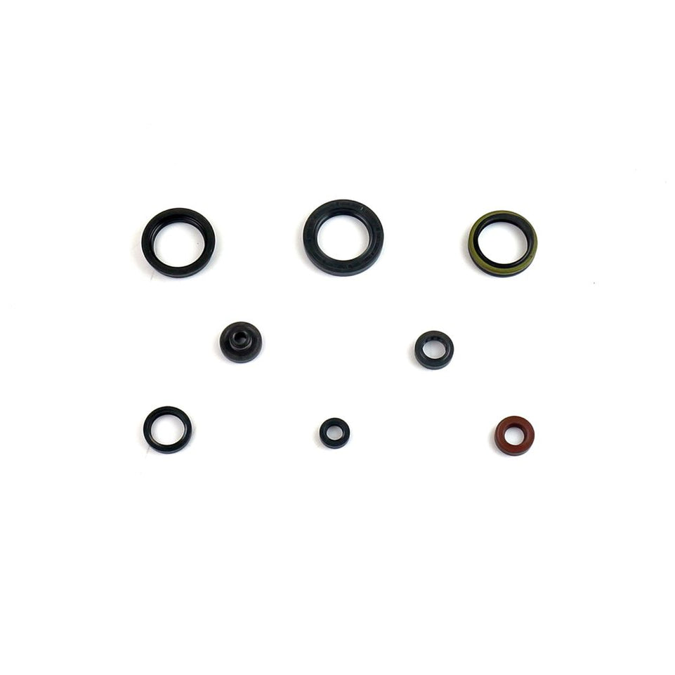 Cuscinetti e Paraoli Motore Athena P400510400095