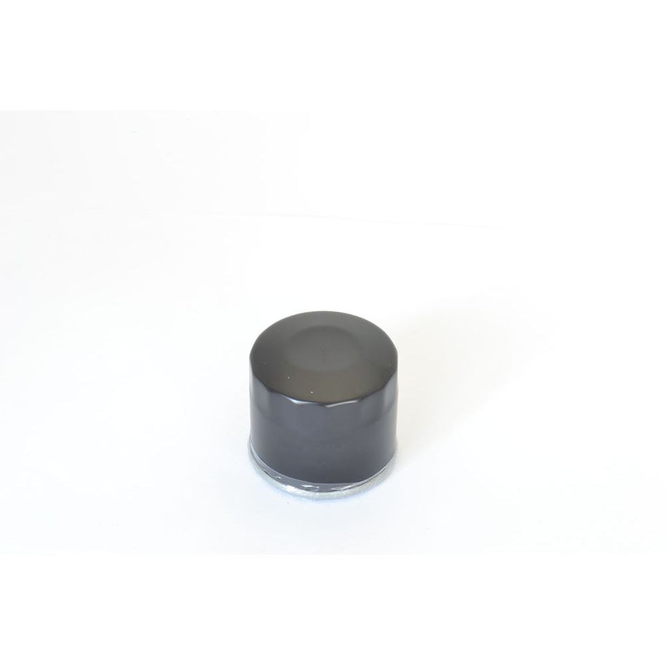 Filtri Olio Moto Athena FFP019