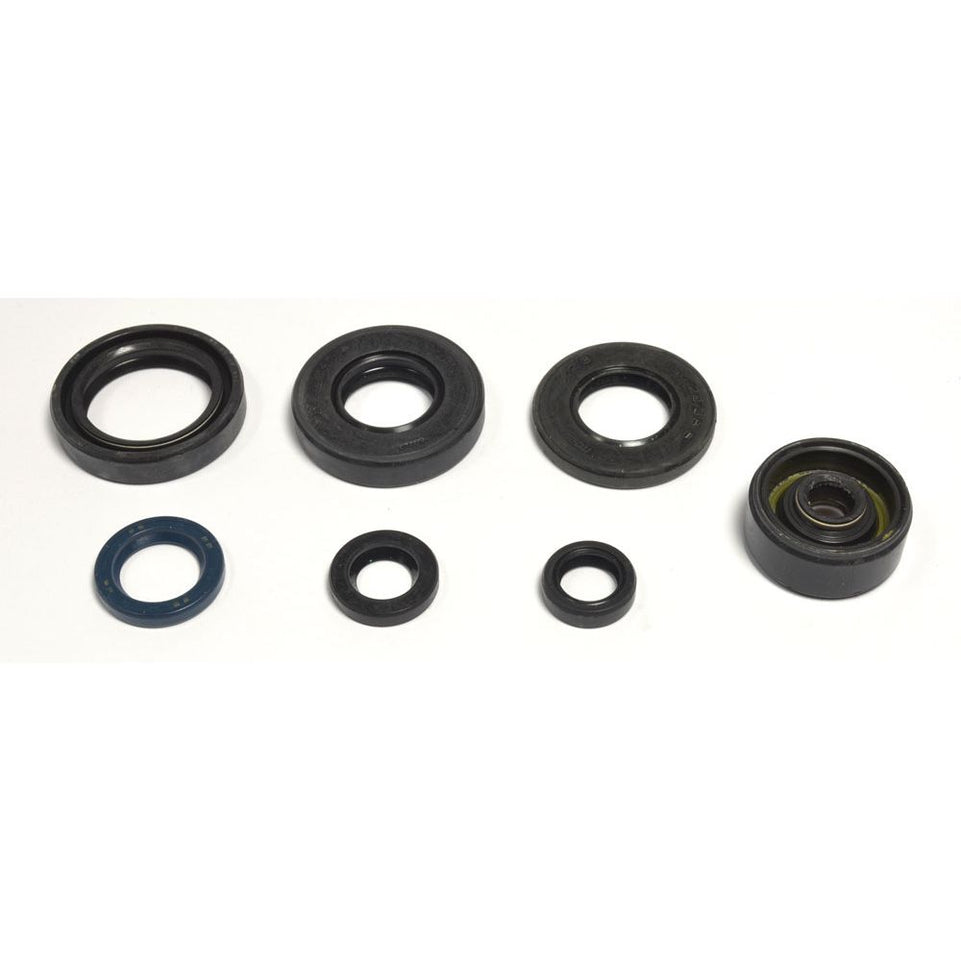 Cuscinetti e Paraoli Motore Athena P400485400089