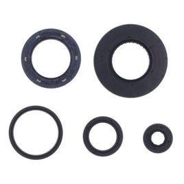 Cuscinetti e Paraoli Motore Athena P400210400278