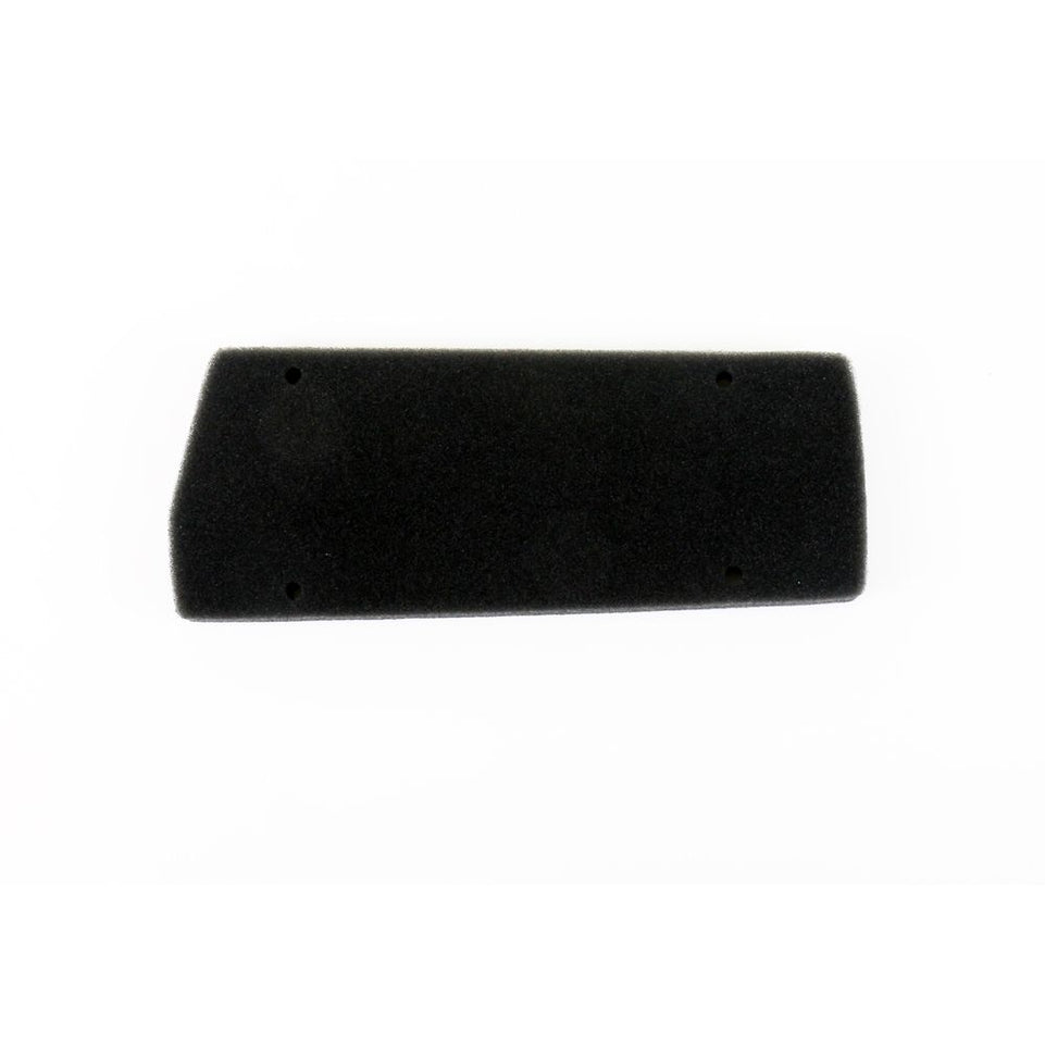 Filtri Aria Moto Athena S410010200001