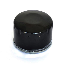 Filtri Olio Moto Athena FFP024