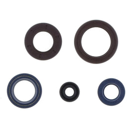 Cuscinetti e Paraoli Motore Athena P400170400031