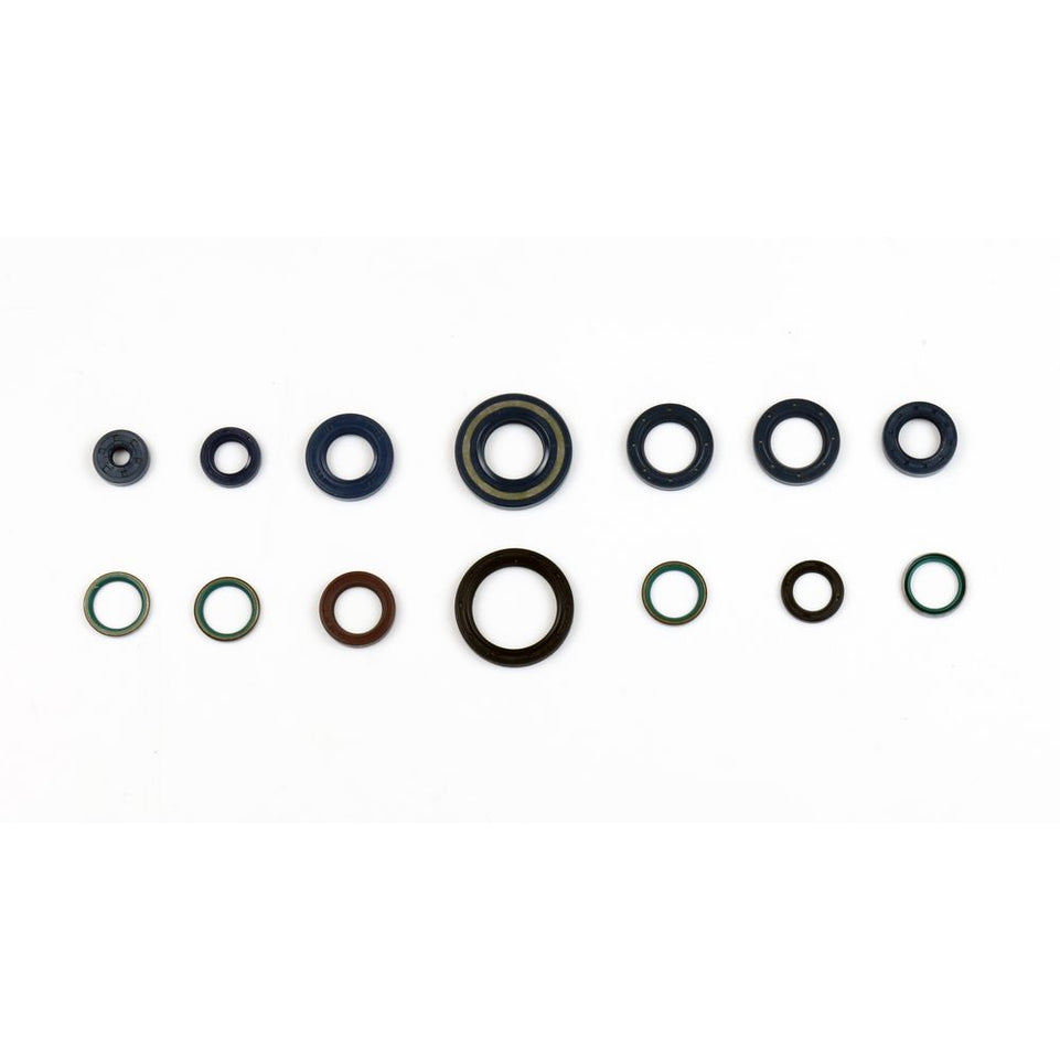 Cuscinetti e Paraoli Motore Athena P400110400101