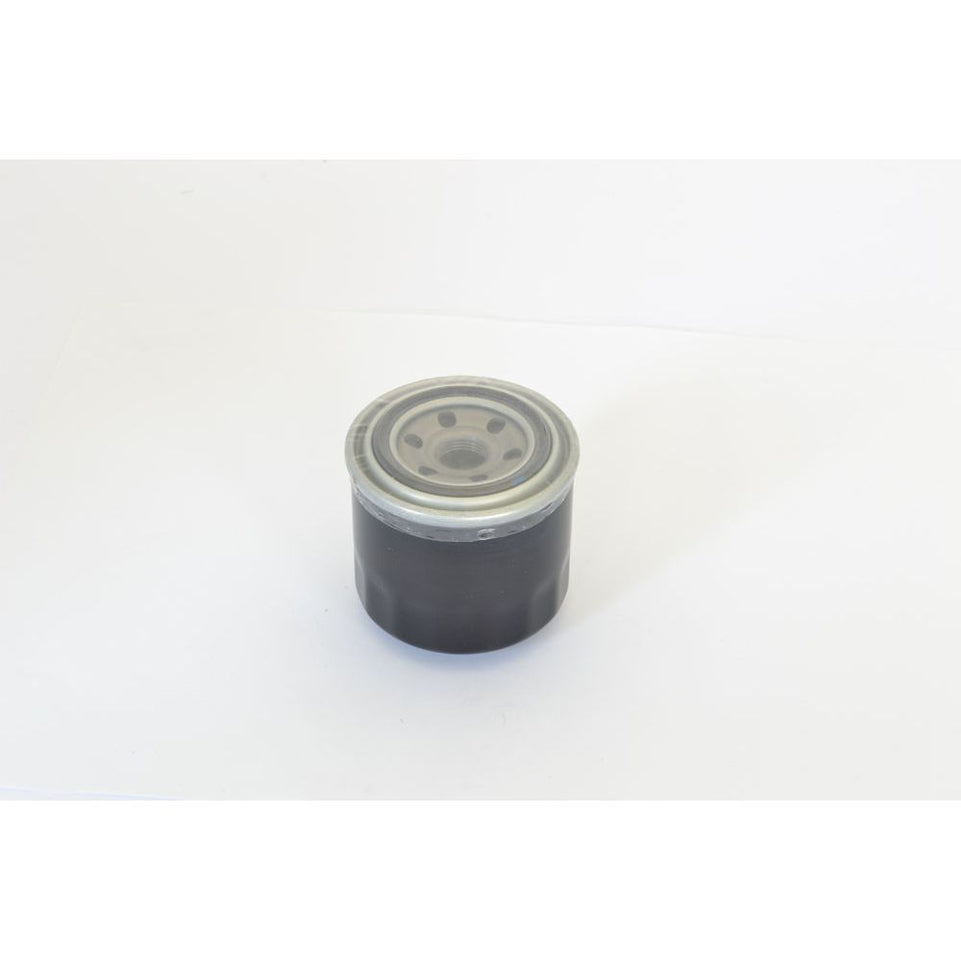Filtri Olio Moto Athena FFP007
