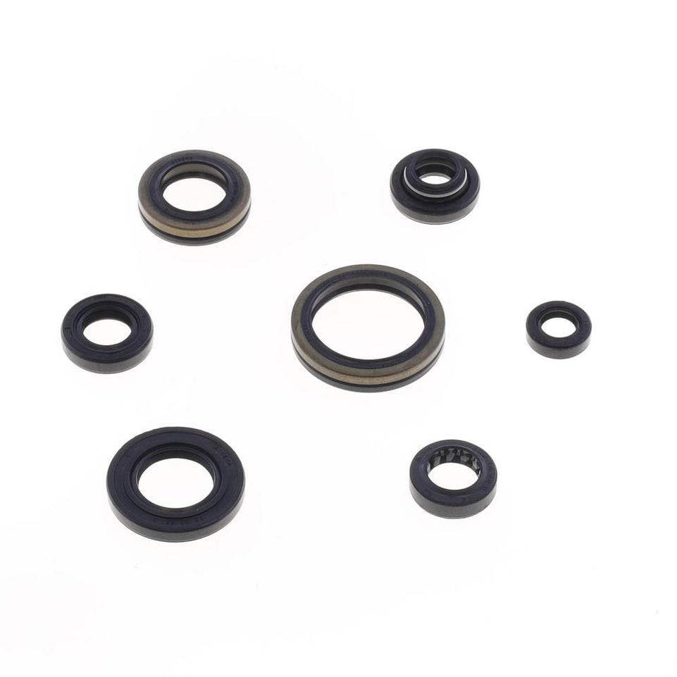 Cuscinetti e Paraoli Motore Athena P400510400253