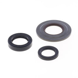 Cuscinetti e Paraoli Motore Athena P400480400400