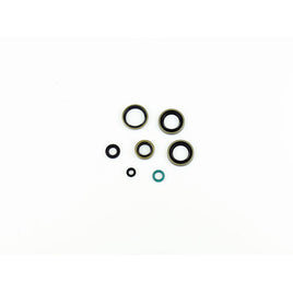 Cuscinetti e Paraoli Motore Athena P400250400221
