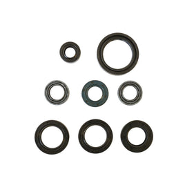Cuscinetti e Paraoli Motore Athena P400210400100