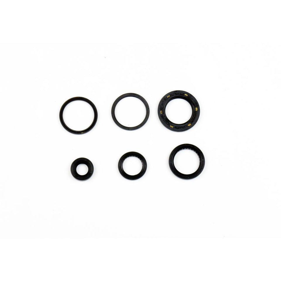Cuscinetti e Paraoli Motore Athena P400210400307