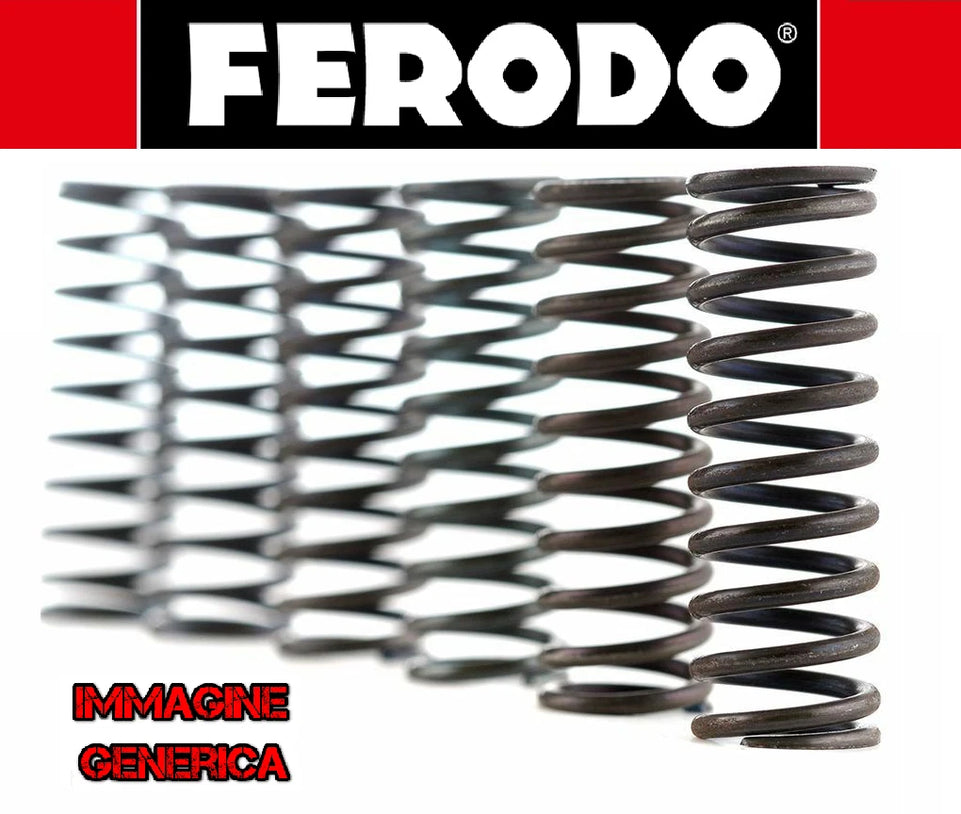 FSS0503 Ferodo Kit Molle Frizione BMW F 650 ST (169) 35 1996-2000