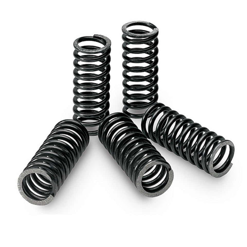 Tecnium Kit molle frizione per KAWASAKI 650 KLR 650 (KL 650 A1-A9) 1987 - 1995