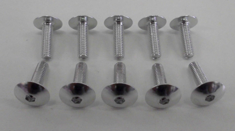VITI IN ERGAL CARENA TESTA BOMBATA TCBEI M6X20 ARGENTO / SILVER 10 PEZZI