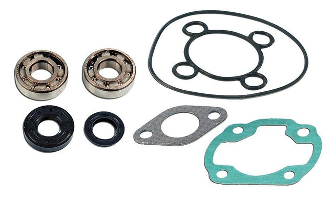 Kit cuscinetti Skf+Guarnizioni cilindro Benelli 491 RR 50 1999-2001