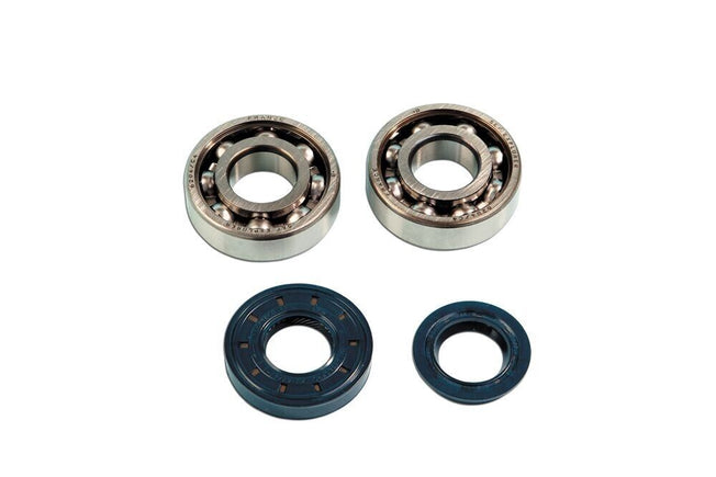 Kit cuscinetti+paraoli albero motore Benelli 491 SP 50 1999