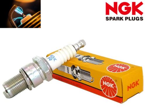 NGK Candela Accensione B8es per Derbi Senda 50 HYP DRD EVO 2008-2009