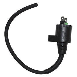 BOBINA AT ESTERNA per APRILIA 125 Mojito 2003-2007 SGR