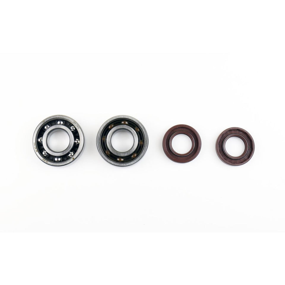 Kit Cuscinetti/Revisione Albero motore +paraoli per DERBI GPR REPLICA PESEK EU2