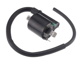 Bobina per Honda PS PES 125I 2006-2012
