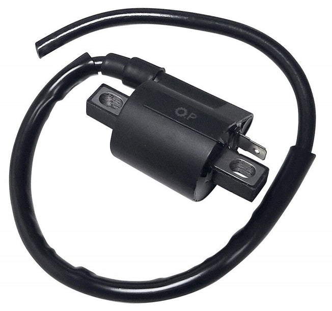 Bobina C4 per Peugeot XP6 50 SuC4 per Motard AM6 2008-2013