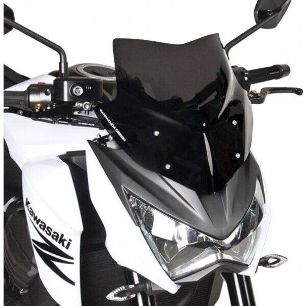 Barracuda CUPOLINO AEROSPORT Fume' per Kawasaki Z800 dal 2013 al 2016