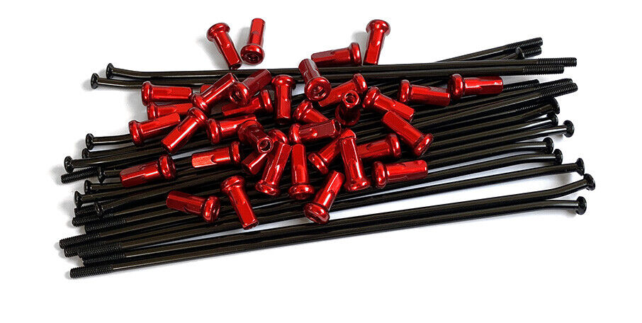 Kit revisione mozzo Gasgas 125 MC (21-24) anteriore