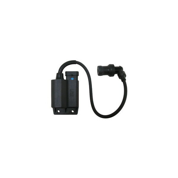CENTRALINA BOBINA per APRILIA 100 Scarabeo 4T E3 VAC00/VAA00 2010-2015 SGR