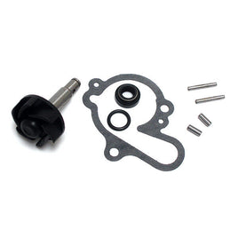 SGR KIT REVISIONE POMPA ACQUA per RIEJU 50 Drac 1992-1996