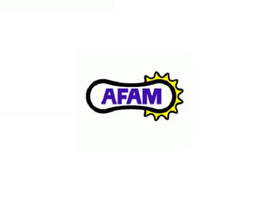 PIGNONE AFAM IN ACCIAIO P428 - Z18 PER YAMAHA 125 TZR RR 1996-2000