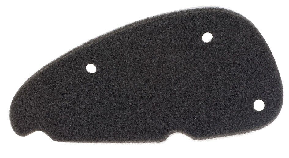 Filtro aria Sr Street ('03-'13) C4 per Aprilia SR 50 R Mot. Piaggio 04/09