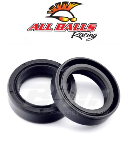 All Balls 17291 Kit Parapolvere Forcella 41x53,5x12 per Yamaha YZFR3 15-18