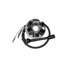 STATORE COMPLETO per PIAGGIO 50 Ape FL2 1994-1995 SGR