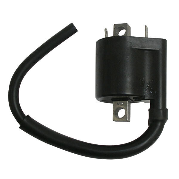 BOBINA AT ESTERNA per FANTIC MOTOR 125 TZ E Caballero Regolartà 4T 2011-2012 SGR