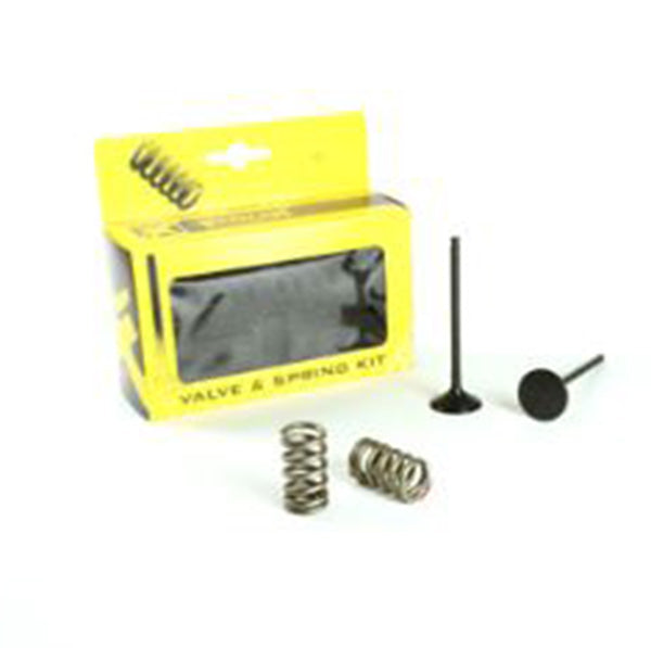 Ricambio Valvole Moto ProX 28.SES2414-1