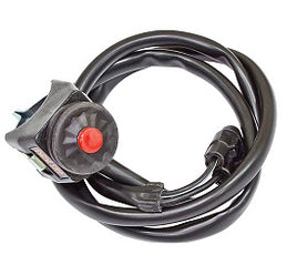 INNTECK Ricambio Elettrico Moto 463-00006 per KAWASAKI KX 100 100 2014-2021