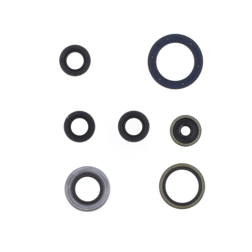 Cuscinetti e Paraoli Motore Athena P400270400013
