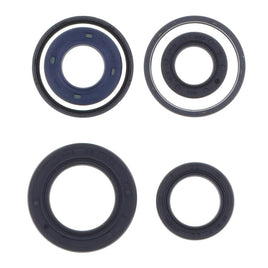 Cuscinetti e Paraoli Motore Athena P400420400061
