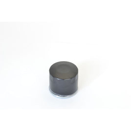 Filtri Olio Moto Athena FFP019